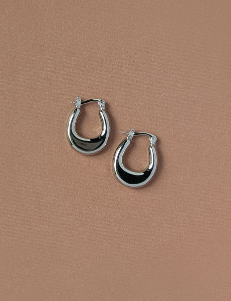 Horseshoe Hoops