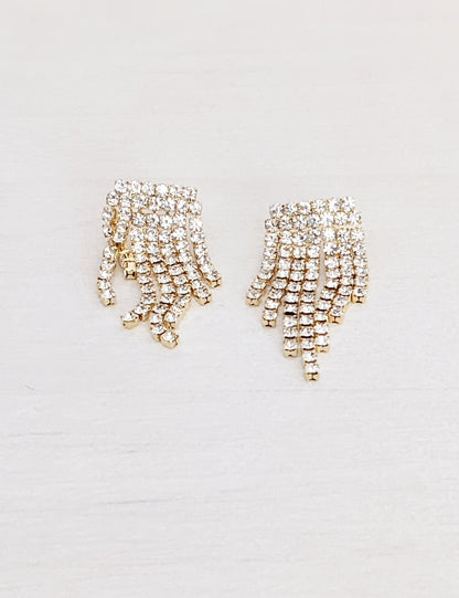 Fringe Sparkler Earrings